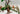 Playmobil Kängurugehege - 3