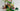 Playmobil Magischer Feenwald - 5