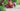 Playmobil Magischer Feenwald - 3