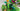 Playmobil Magischer Feenwald - 4