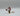 Playmobil Nuremberg Ritter - 2