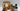 Playmobil Pferd mit Reiterin und Pferdebox - 1
