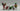 Playmobil Radrennen - 2