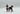 Playmobil Red Coat Offizier mit Pferd - 1