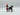 Playmobil Red Coat Offizier mit Pferd - 1