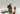 Playmobil Reitschule mit Ponys - 2