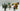 Playmobil Riesentroll- Angriff-2