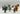 Playmobil Riesentroll- Angriff-2