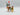 Playmobil Ritter mit Pferd und Page - 1