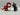 Playmobil Roter Drache - 1