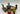 Playmobil SCOOBY-DOO! Abendessen mit Shaggy-4
