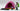 Playmobil Trekkingzelt - 1
