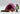 Playmobil Trekkingzelt - 1