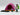 Playmobil Trekkingzelt - 1