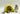 Playmobil Trekkingzelt - 6