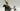 Playmobil Turnierritter des Drachenordens mit Knappe - 2