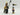 Playmobil Turnierritter des Drachenordens mit Knappe - 1