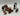 Playmobil Wolfsritter Katapult - 2