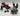 Playmobil Wolfsritter Katapult mit Wolfsrudel - 1